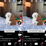 TikTok Introduces New Accessibility Features on Global Accessibility Awareness Day