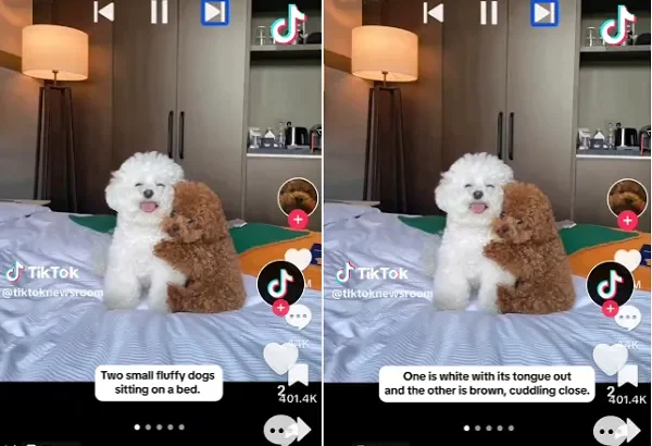 TikTok Introduces New Accessibility Features on Global Accessibility Awareness Day